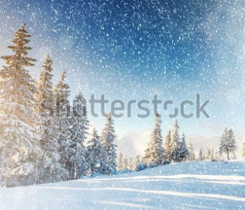 Природа - 46 | Wall-Style