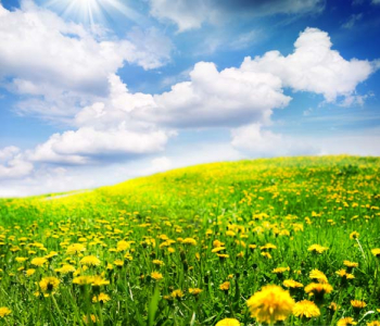 Природа - 19 | Wall-Style