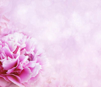 Цветы и растения - 83 | Wall-Style