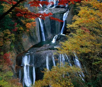 Природа - 56 | Wall-Style