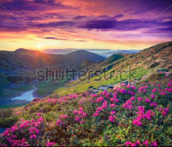 Природа - 699 | Wall-Style