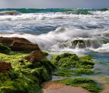 Природа - 14 | Wall-Style