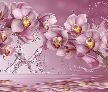 Цветы и растения - 6 | Wall-Style