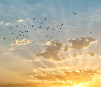 Небо и космос - 114 | Wall-Style