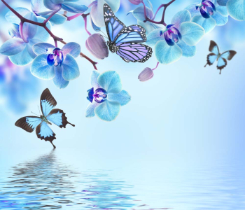 Цветы и растения - 132 | Wall-Style