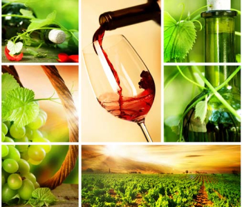 Еда и напитки - 23 | Wall-Style