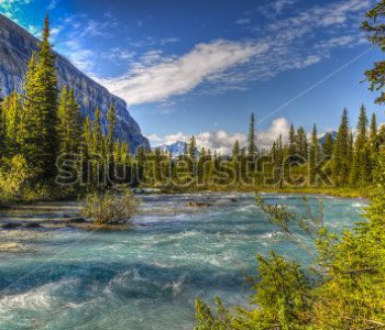 Природа - 564 | Wall-Style