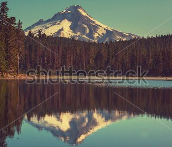 Природа - 107 | Wall-Style