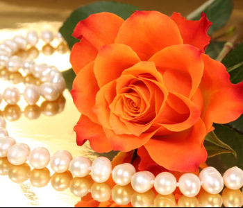 Цветы и растения - 107 | Wall-Style