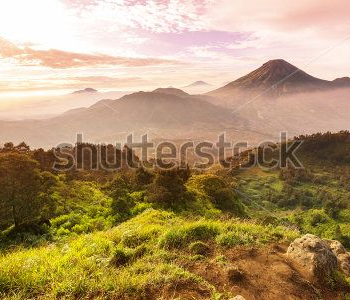 Природа - 206 | Wall-Style