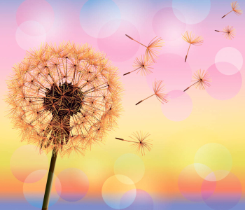 Цветы и растения - 62 | Wall-Style