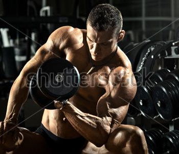 Спорт - 167 | Wall-Style