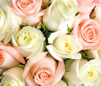 Цветы и растения - 180 | Wall-Style