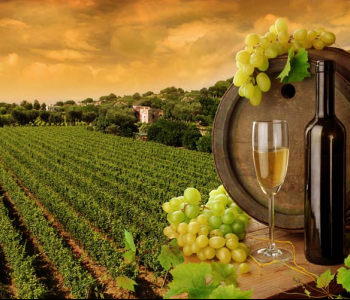 Еда и напитки - 20 | Wall-Style