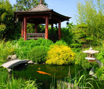 Природа - 11 | Wall-Style