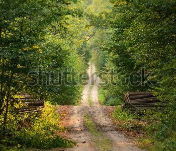 Природа - 98 | Wall-Style