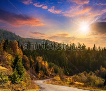 Природа - 162 | Wall-Style