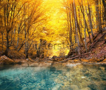 Природа - 97 | Wall-Style