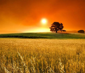 Природа - 6 | Wall-Style