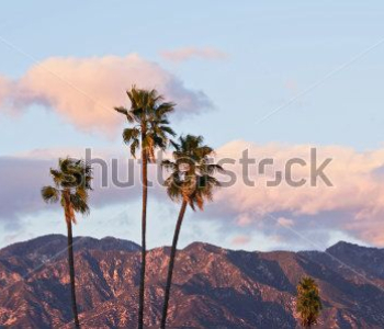 Природа - 598 | Wall-Style