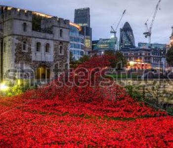 Архитектура - 154 | Wall-Style