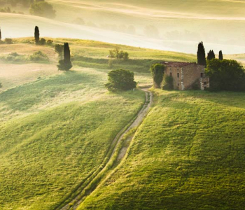 Природа - 23 | Wall-Style