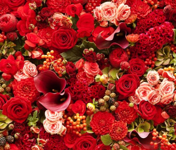 Цветы и растения - 144 | Wall-Style