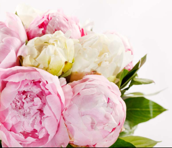 Цветы и растения - 77 | Wall-Style