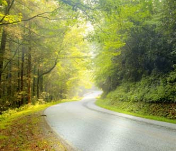 Природа - 40 | Wall-Style