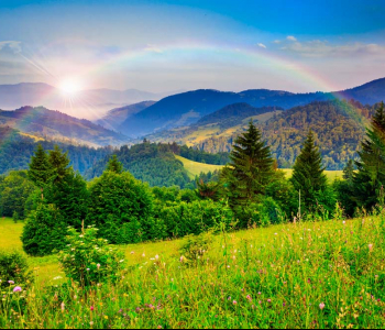 Природа - 9 | Wall-Style