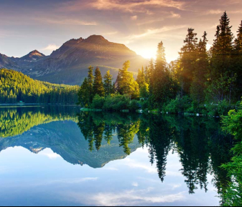 Природа - 2 | Wall-Style