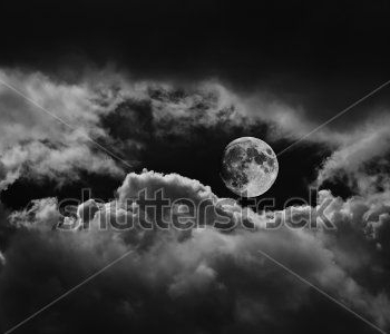 Природа - 535 | Wall-Style