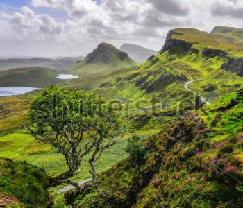 Природа - 566 | Wall-Style