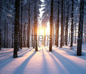 Природа - 671 | Wall-Style