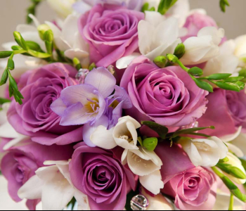 Цветы и растения - 61 | Wall-Style