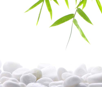 Цветы и растения - 75 | Wall-Style