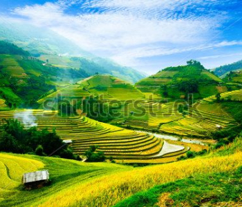 Природа - 551 | Wall-Style