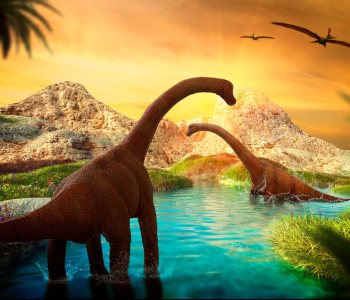 Детские - 131 | Wall-Style