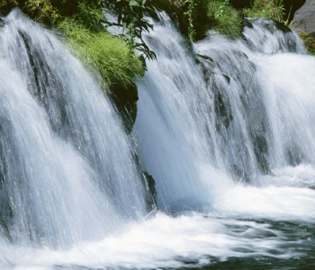 Природа - 442 | Wall-Style