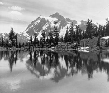 Природа - 501 | Wall-Style