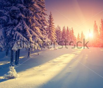 Природа - 43 | Wall-Style