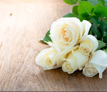 Цветы и растения - 140 | Wall-Style