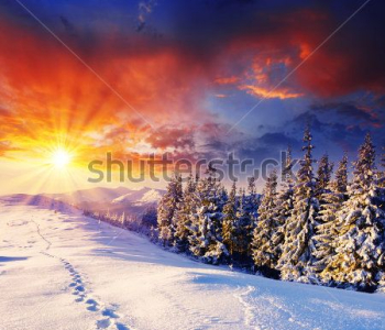 Природа - 37 | Wall-Style