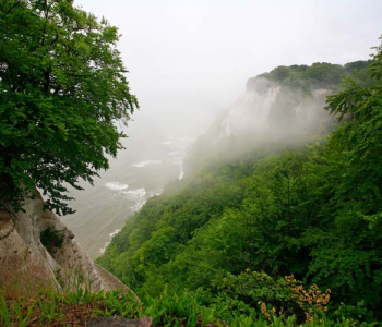 Природа - 219 | Wall-Style