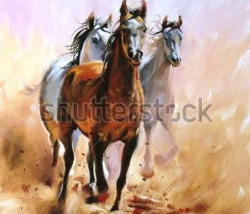 Животные - 86 | Wall-Style