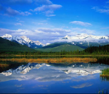 Природа - 457 | Wall-Style