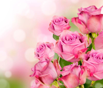 Цветы и растения - 191 | Wall-Style