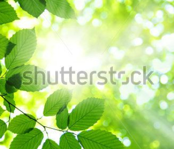 Природа - 136 | Wall-Style