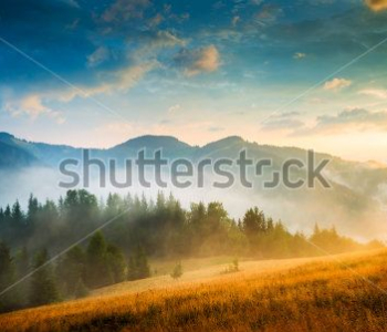 Природа - 200 | Wall-Style