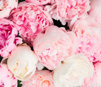 Цветы и растения - 172 | Wall-Style